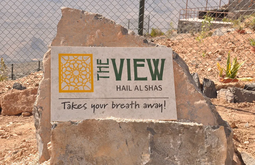 The View-1